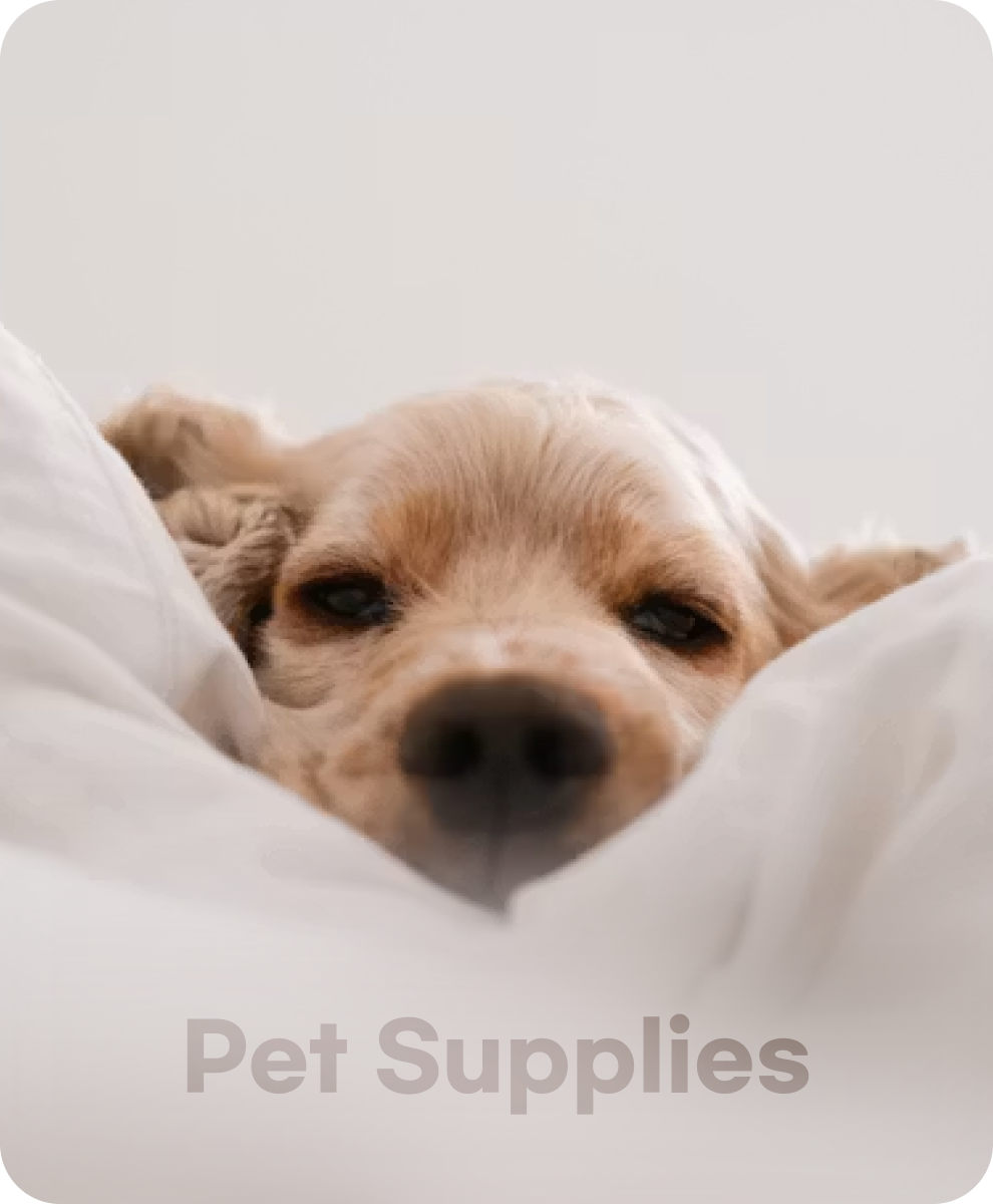 �ݷ�������ǰ(Pet Supplies)